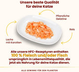 Almo Nature HFC Jelly - Våtfoder för vuxna katter - Lax och morötter - Mänsklig kvalitet, glutenfri - 6 x 70g