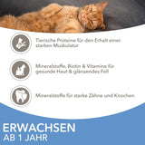 IAMS Delights Sea Collection Katzenfutter Nass - Multipack mit Fisch Sorten (Lachs, Thunfisch, Makrill, Seefisch) i sås, Nassfutter für Katzen från 1 Jahr, 12 x 85g