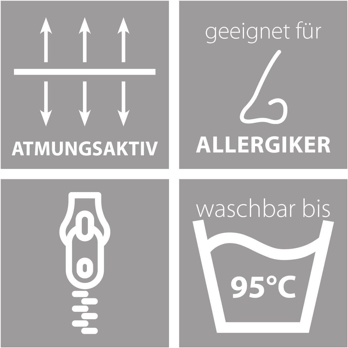 Traumnacht Bekväm roulettekudde, Set med 4 kuddar, Med quiltat överdrag och skumfyllning, 40 X 40 cm, Oeko-Tex certifierad, Tillverkad enligt den tyska kvalitetsstandarden Naty Shop standardkuddar