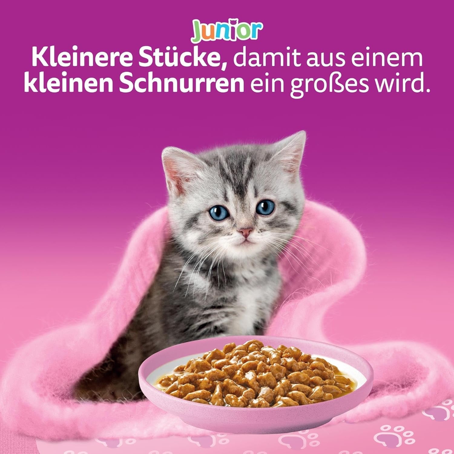 Whiskas Junior Classic Selection våtfoder för katter i sås, 48 ​​påsar, 12 x 85 g (paket med 4) - Högkvalitativt våtfoder för växande katter, 2 till 12 månader