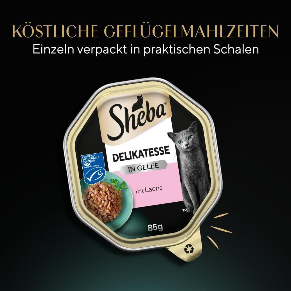 Sheba Wet Cat Food, delikatess i laxgelé, 2 x 11 x 85g
