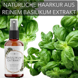 Hårbehandling med basilikaextrakt från Nordic Pure | För vård av tunt, torrt och skört hår | Kan förhindra håravfall 100ml Naty Shop hårvård