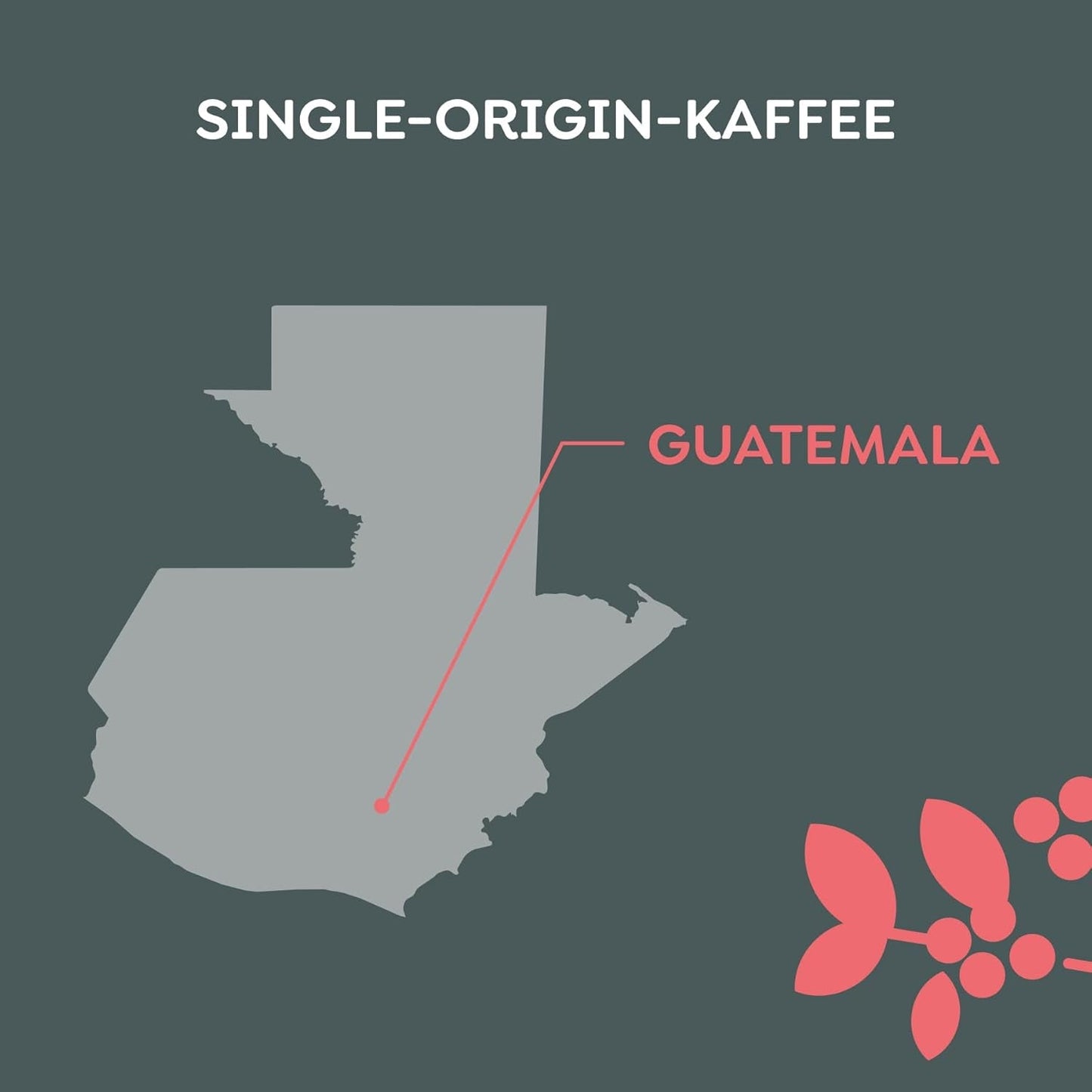 Melitta Manufaktur-Kaffee Guatemala Honung, Spezialitäten, 250g, Ganze Bohnen, Ungemahlen, Single-Origin, Sanfte Trommelröstung, Geröstet i Deutschland, Stärke 3