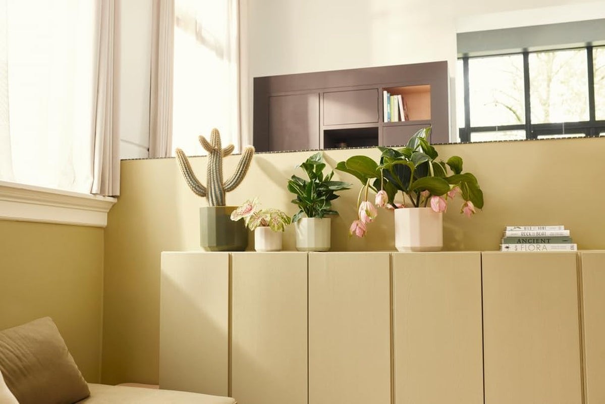 Rund kruka elho Facet 23cm - för inomhusbruk - 100% återvunnen plast - Ø 22,7 x H 20,4 cm - Rosa/Mandelrosa