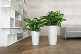 Planteringsmaskin LECHUZA Rondo Premium 32 Matt Vit | Växtpelare med bevattningssystem, vattennivåindikator och växtinsats | Matt finish | Ø 32,5 x 56,5 cm | 15786