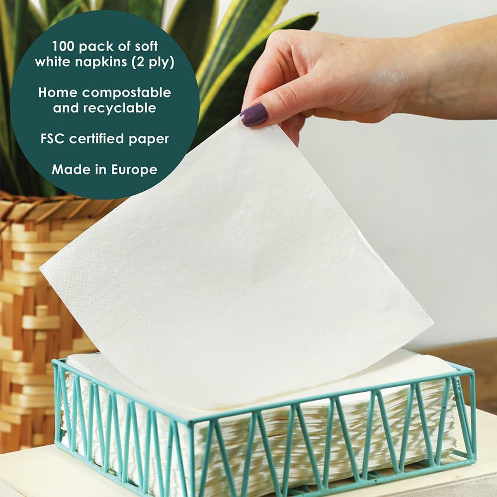 Table Kind 100 White Soft Napkins in Bulk, High Quality Napkins for Party, Catering and Daily Use, FSC, Sustainable and Recyclable, Made in EU | 2Ply | 33 cm