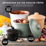 Römertopf Fresh Pot MINI 0,6 liter - Keramisk vitlökskruka - Andningsbar lera håller grönsaker fräscha längre - Idealisk luftcirkulation - Vita matförvaringslådor Naty Shop