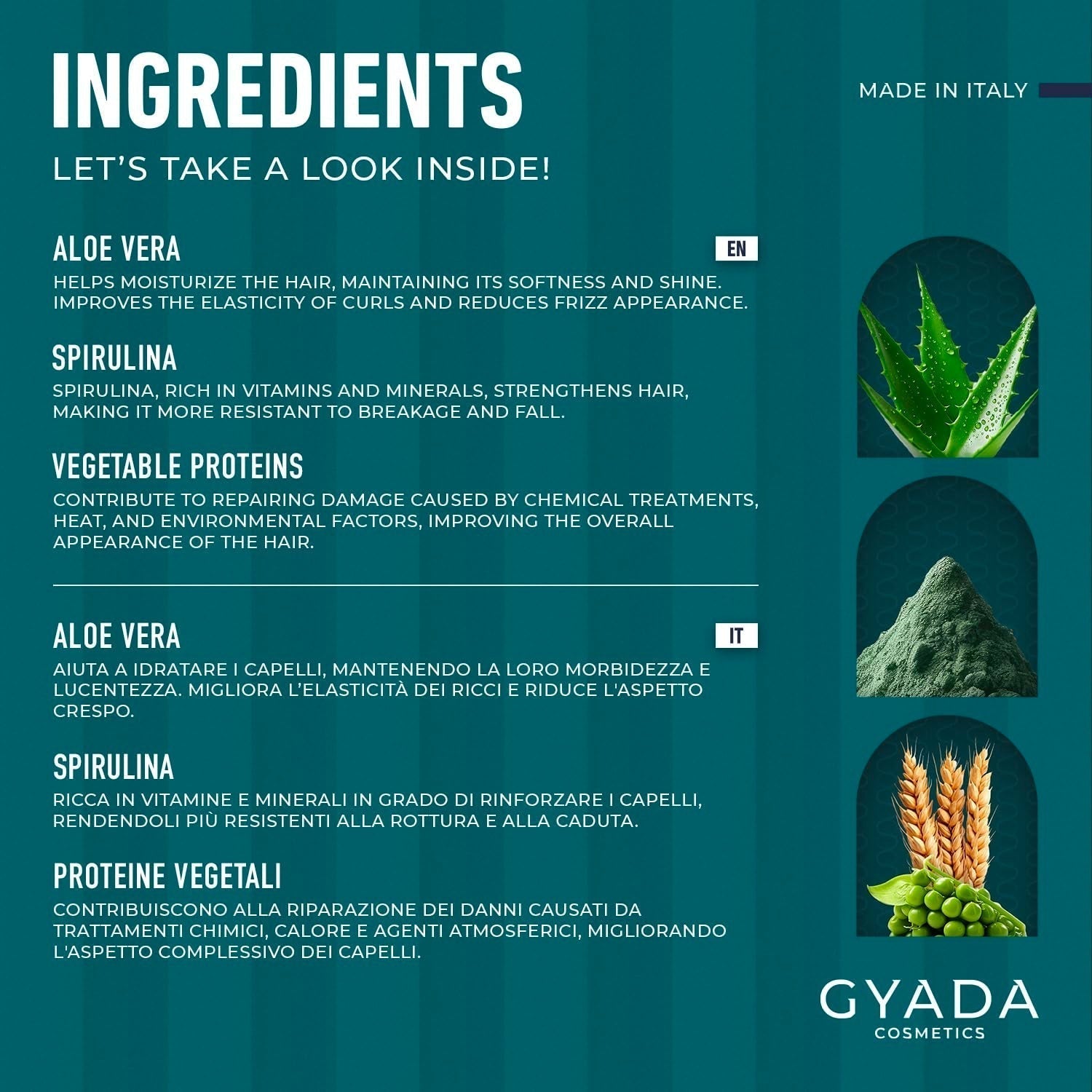 GYADA COSMETICS Spirulina hårstärkande paket Närande anti-håravfall Dubbla tips fungerar 250ml + bokträkam Idealisk för att reda ut alla hårtyper Naty Shop hårmask