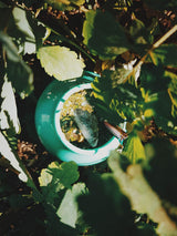 Yerba "BIO" 400 g organiskt Mate-te, organiskt, naturligt stimulerande och energigivande med koffein, Yerba Mate-te med frukt, Mate-te med hög koffeinhalt, hög kvalitet