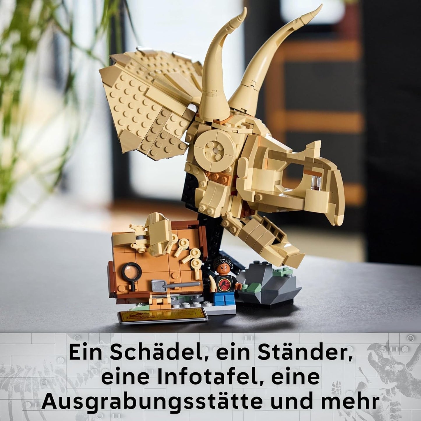 LEGO Jurassic World Dinosaur Fossils: Triceratops Skull Model, dinosaurie leksak för pojkar och flickor från 9 år, present till barn och fans Jurassic World 76969 Byggset Besuche den LEGO-Store