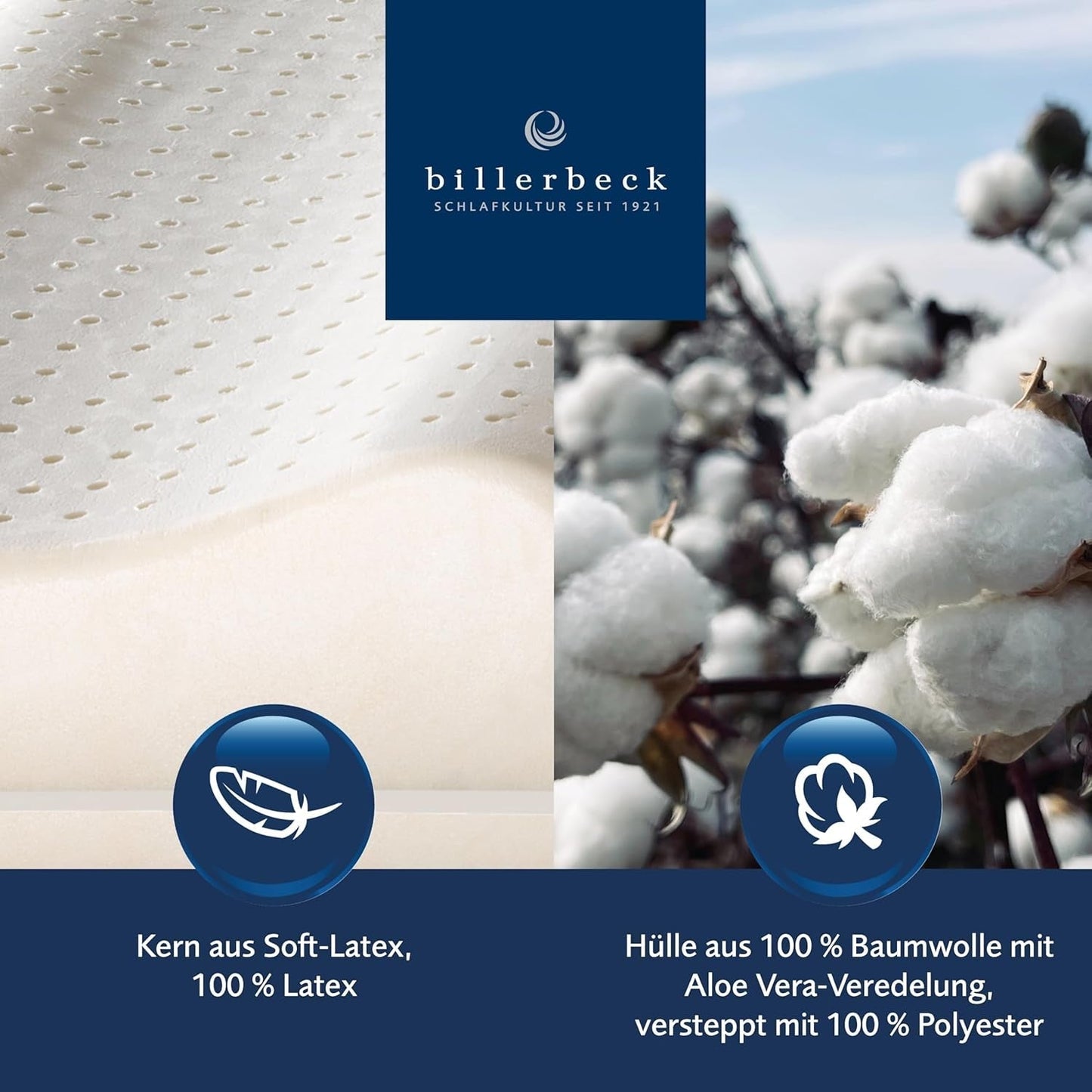 Billerbeck Pillow S20 Latex - Nackkudde i 40 X 80 Cm - Nackstödskudde med mjuk latexkärna, vita Naty Shop standardkuddar