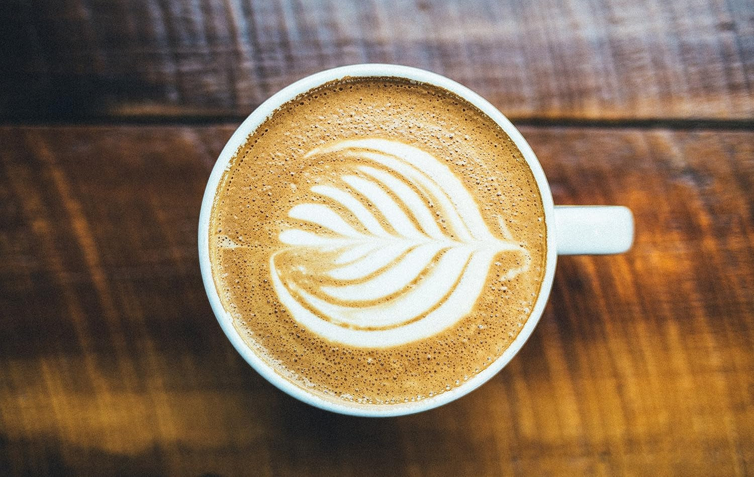 Specialkaffe från Sydamerika - Galapagos, öarnas unika ekosystem (1 000 gram, hela bönor) - kaffe med ett ursprung - premiumkaffe - låg syra - lätt rostat och färskt