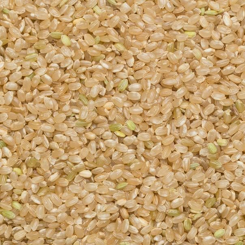 Wholefood Earth kortkornigt brunt ris - icke-GMO - naturligt - veganskt - mjölkfritt - utan tillsatt socker, 3 kg