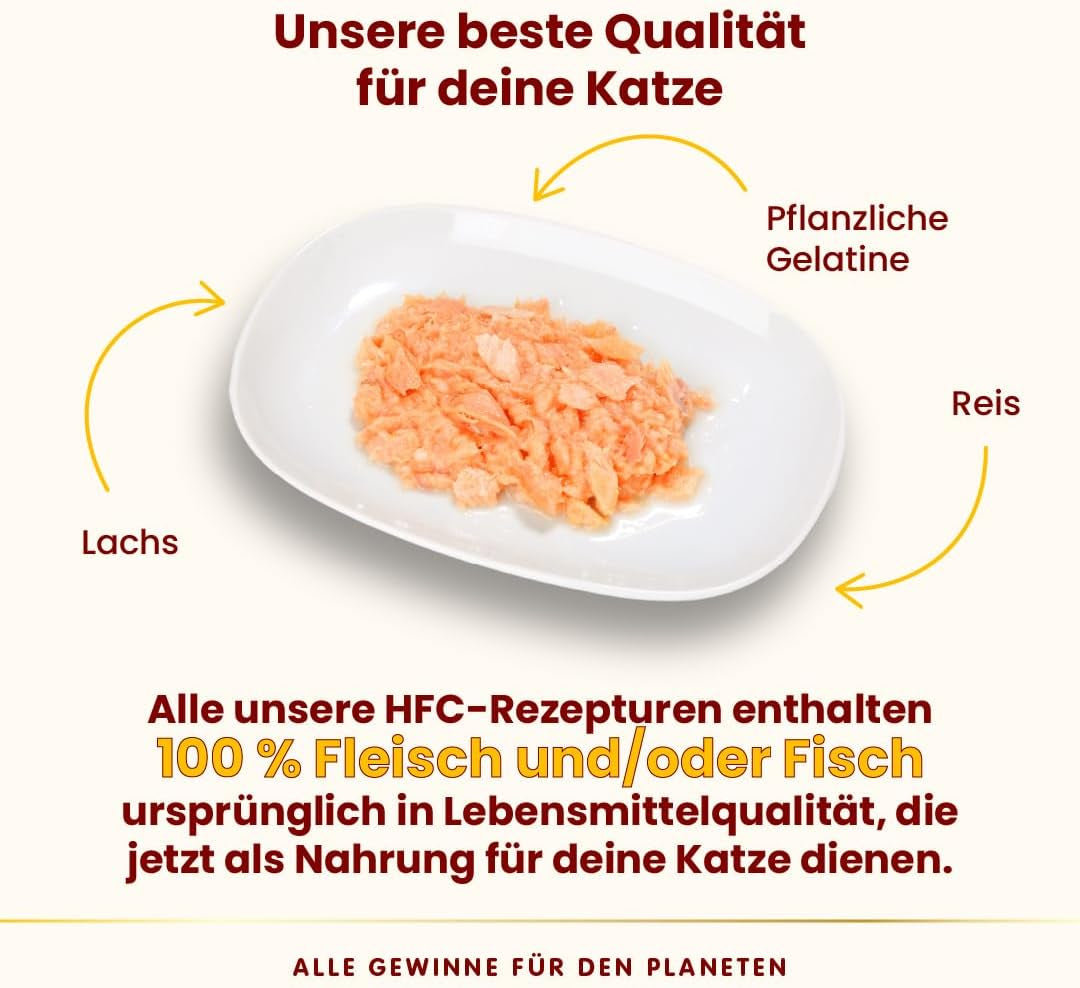 Almo Nature HFC Jelly - Nassfutter für ausgewachsene Katzen - Lachs - Human Grade, Glutenfri & Monoprotein - 6 x 70g