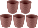 Set med 5 bruna krukor, diameter 16 cm - Rejäla plastkrukor - Dekorativ planteringskruka med dräneringsmöjlighet - Elegant kruka för inom- och utomhusbruk