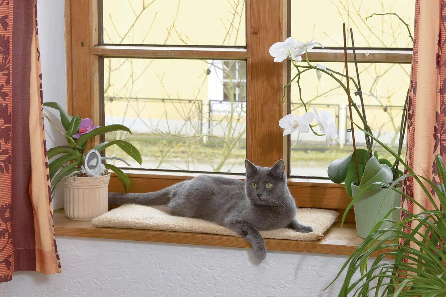 Filtar och möbler, husdjur, katter, sängar för katter, skrapa mattor, katter - sängar, madrasser