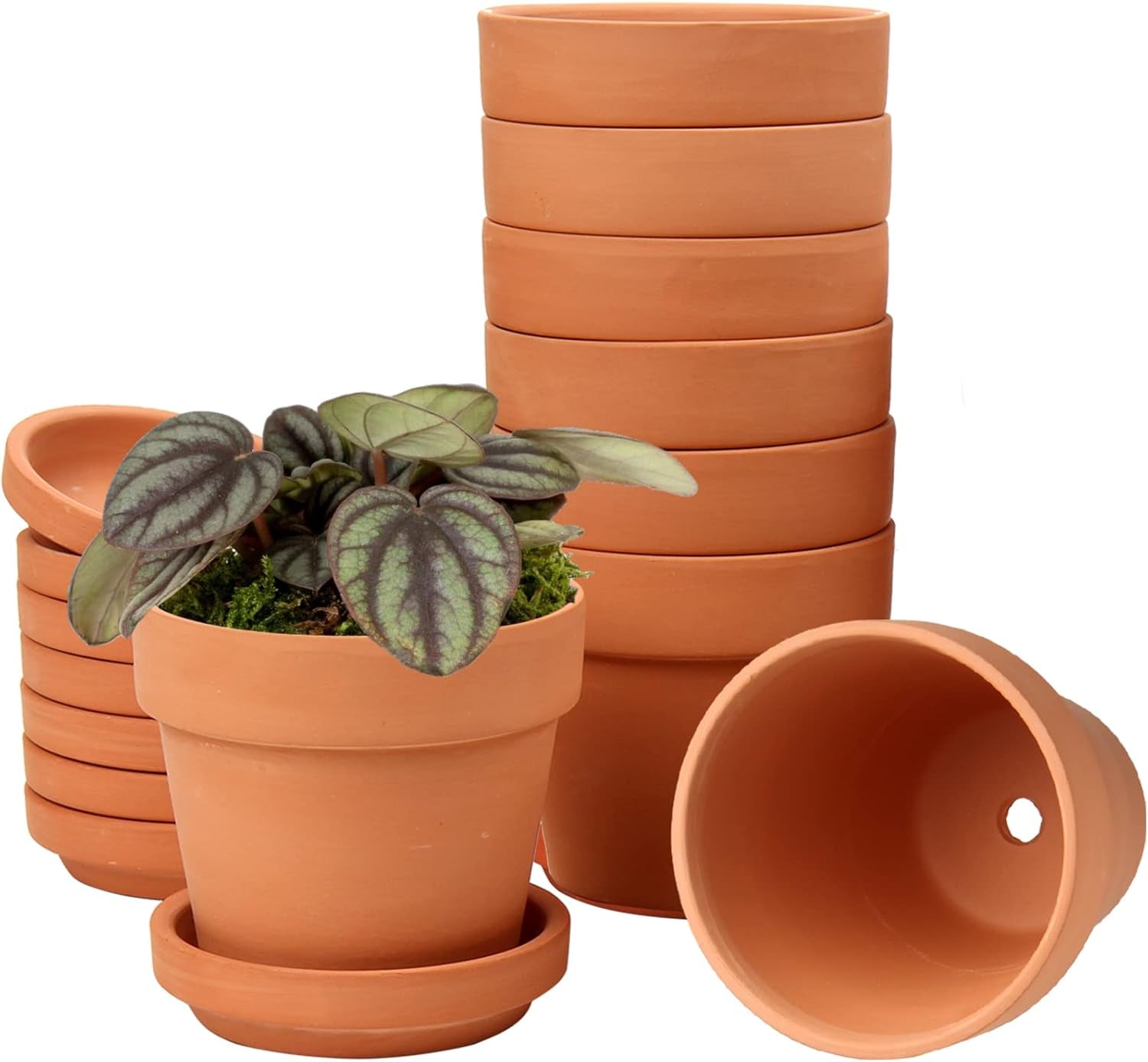 Hollyone 8-delad liten terrakottakruka, 8x8 cm runda lerkrukor med tallrik och dräneringshål, små planteringskärl med bricka, terrakotta-suckulentkrukor för inomhusväxter, keramiska planteringar