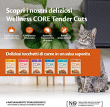 Wellness CORE Tender Cuts 6 x 85g, Kyckling Selection Mix - Våtfoder för katter, möra bitar i sås, spannmålsfria, naturliga, hypoallergena, rik på protein, hög kötthalt