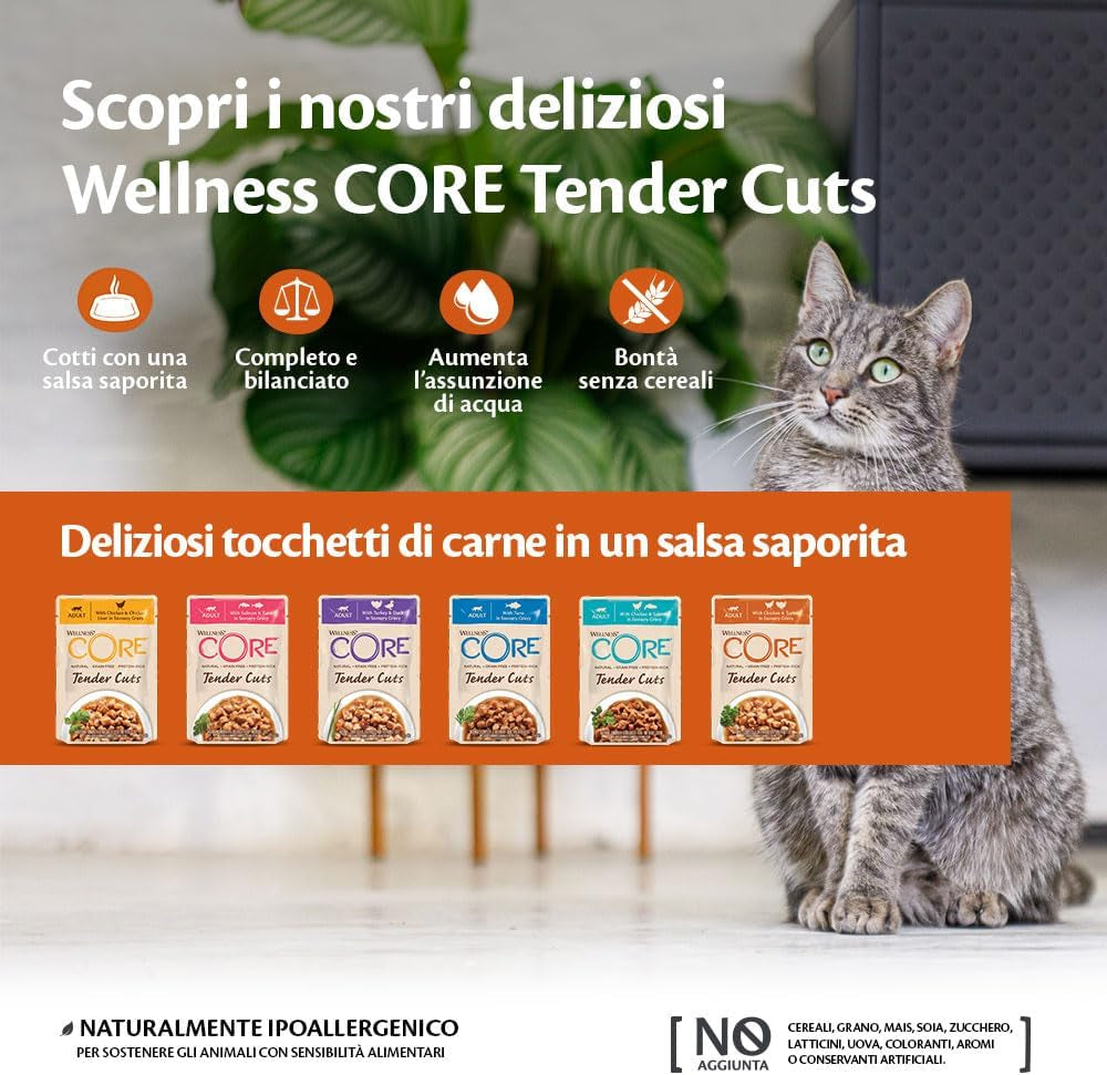 Wellness CORE Tender Cuts 6 x 85g, Kyckling Selection Mix - Våtfoder för katter, möra bitar i sås, spannmålsfria, naturliga, hypoallergena, rik på protein, hög kötthalt