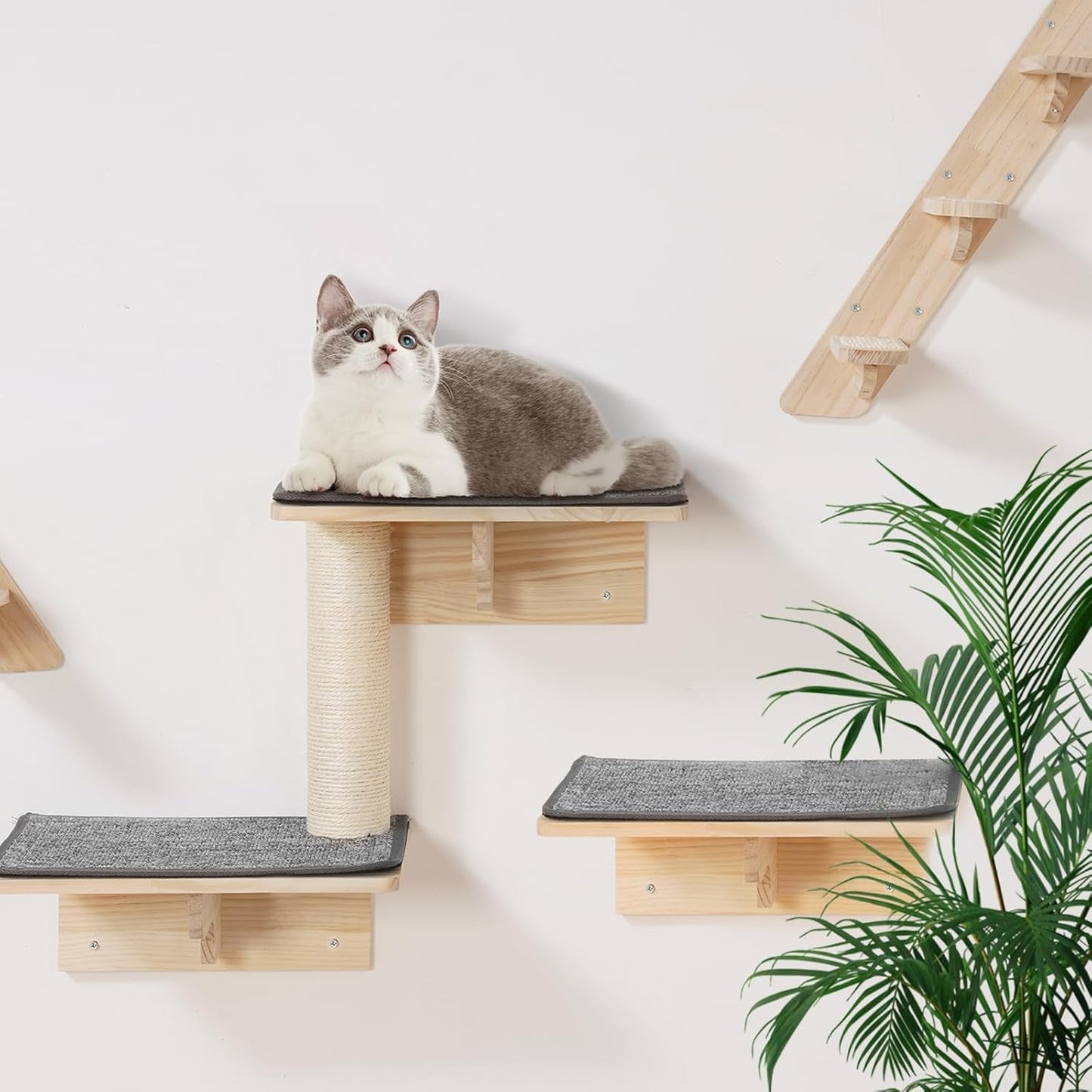 Filtar & Möbler, Husdjur, Katter, Kattsängar, Katter - sängar, madrasser