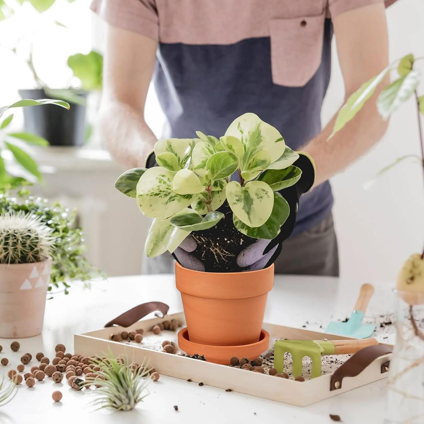 Hollyone 8-delad liten terrakottakruka, 8x8 cm runda lerkrukor med tallrik och dräneringshål, små planteringskärl med bricka, terrakotta-suckulentkrukor för inomhusväxter, keramiska planteringar