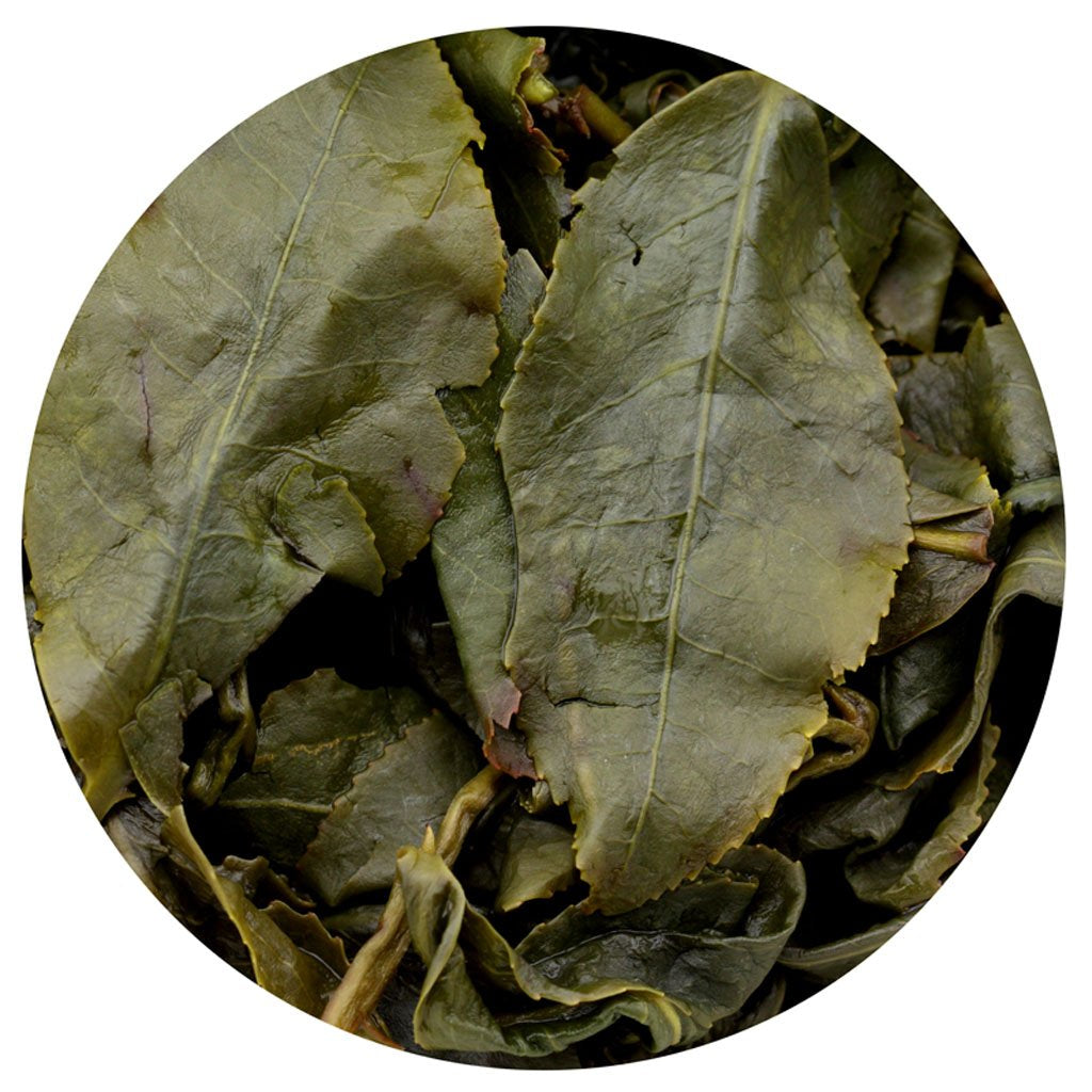 GOURTEA Taiwan Dong Ding Oolong Grönt Te 250 g / 8,8 oz Högkvalitativt Tung Ting Oolong Grönt Te Dongding Oolong Tea Mountain Oolong Tea