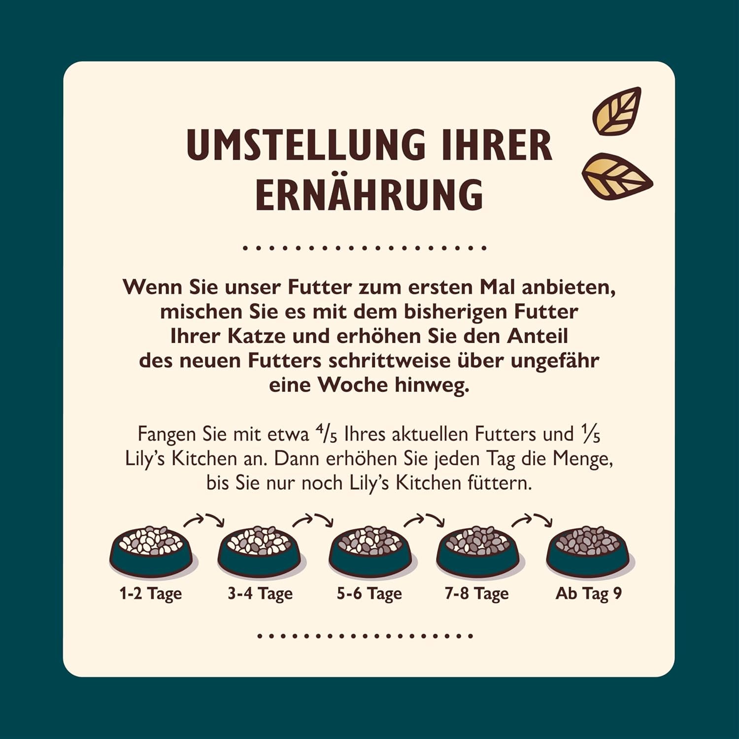 Lily's Kitchen Aus Naturichen Ingrediens hermestellung Zerkleinerte filéer i Gelee med Hühnchen och Lachs Ausgewachsen Nassfutter für Katzen 70 g Dos