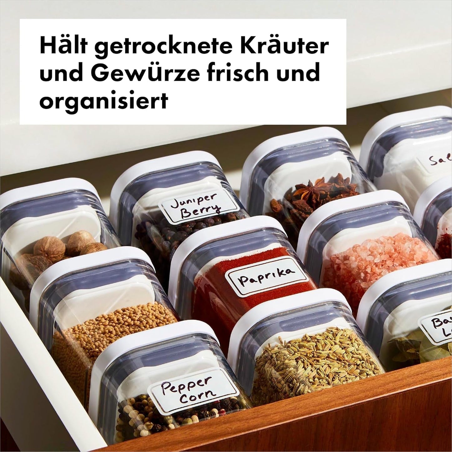 OXO 11236100V1UK Matförvaringsbehållare, plast, transparent Matförvaringslådor Naty Shop