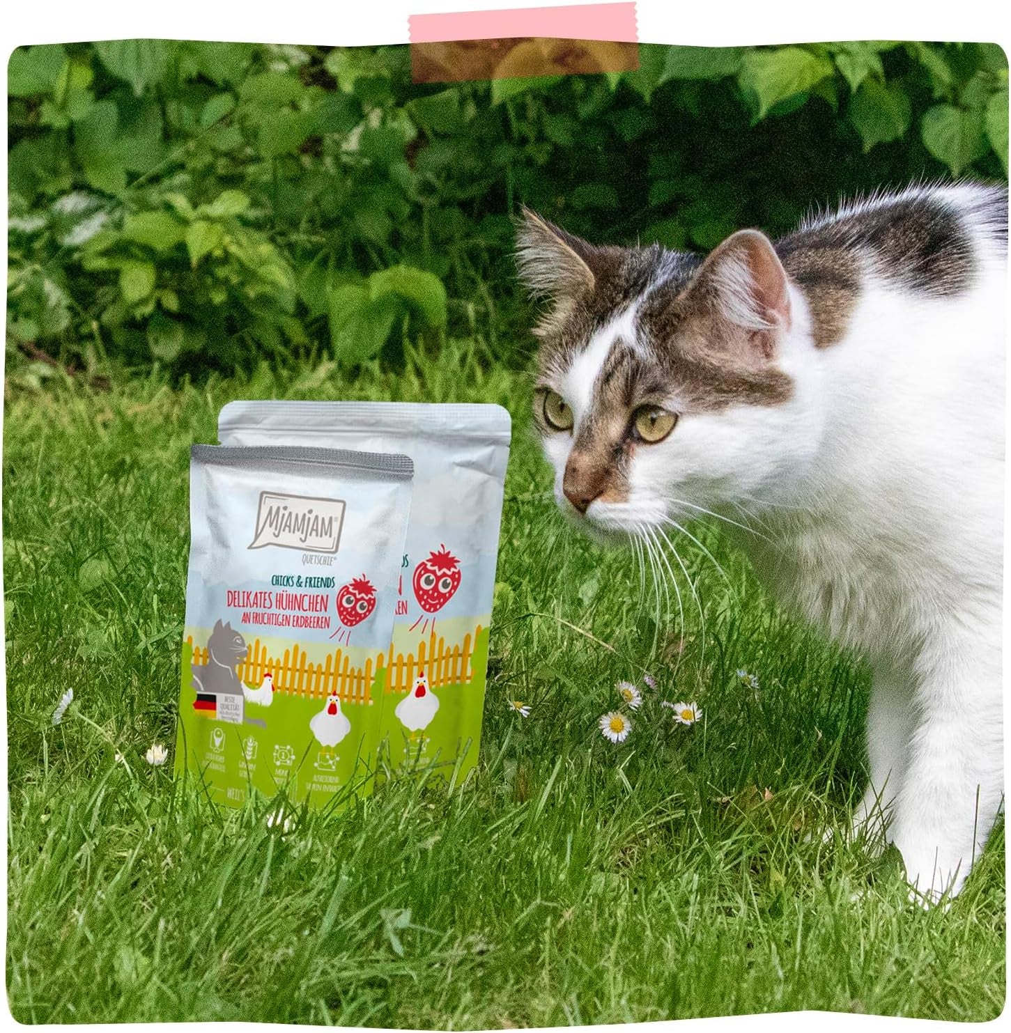 MjAMjAM - Premium våt kattmat - delikat kyckling med fruktiga jordgubbar 400g, förpackning om 6 (6 x 400g), naturell med extra kött