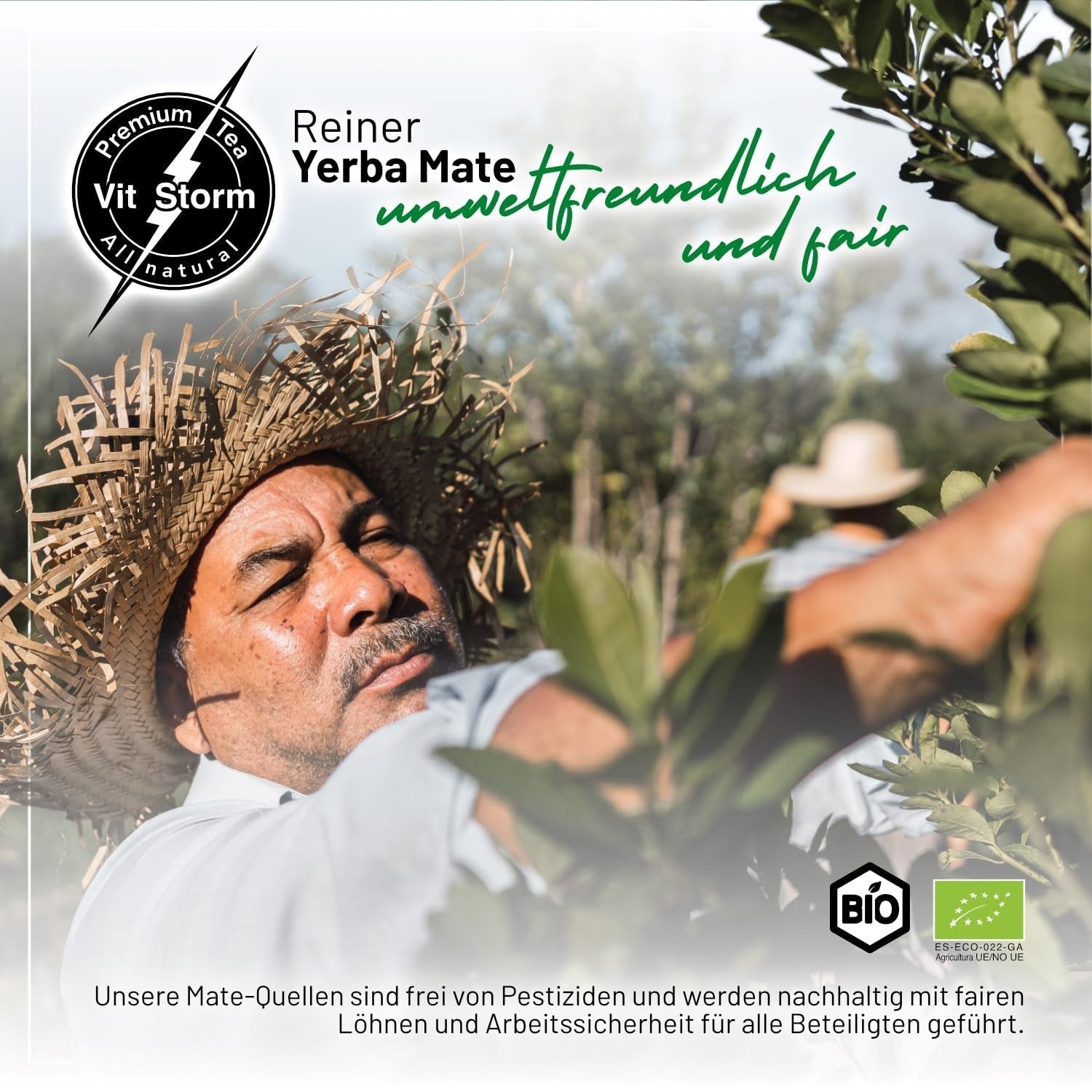 VITSTORM® Slim Tea Kardemumma – BIO Yerba Mate Tea – Detox och urindrivande te – 100G