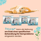 Almo Nature Functional Urinary Help - Nassfutter für ausgewachsene Katzen mit Fisch - Unterstützung für die Gesundheit der Harnwege - 30 påsar à 70g