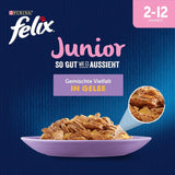 Felix As Good As It Looks Junior Våtfoder i gelé för kattungar, blandad blandning, förpackning om 6 (6 x 12 påsar à 85g vardera)