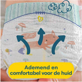 Pampers Premium Protection Storlek 6, 74 Blöjor, 13kg+, #1 för komfort och skydd för känslig hud