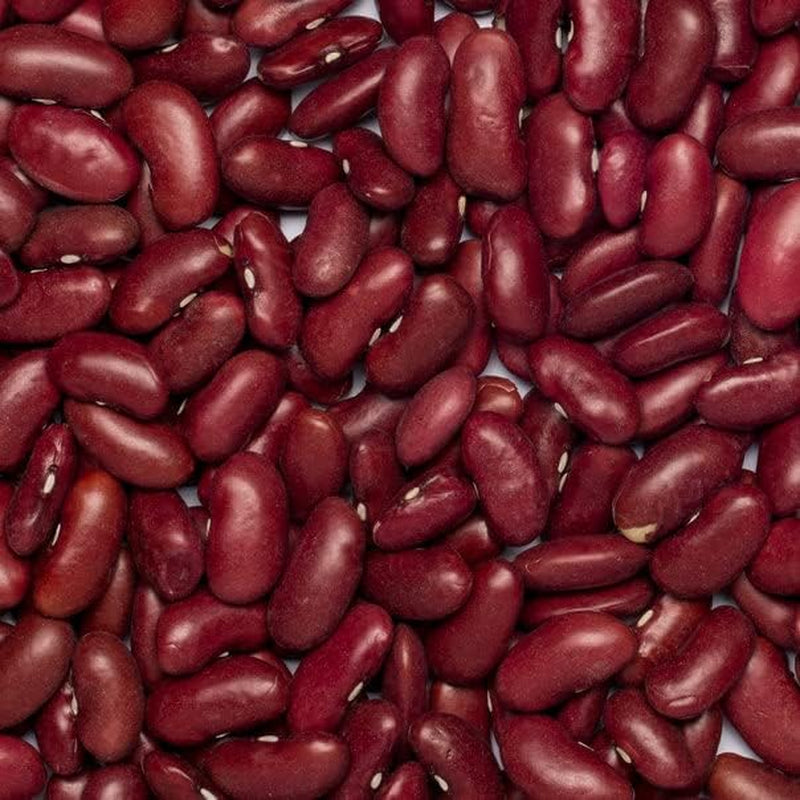 Röda bönor Wholefood Earth Organic 1kg Raw | Vegan | Icke-GMO | Mörkröd | Rik på fibrer | Rik på protein | Certifierad ekologisk