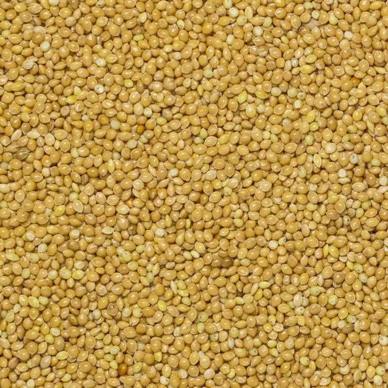 Jordfullkornshirs - icke-GMO - naturlig - vegan - mjölkfri - inget tillsatt socker - 1 kg