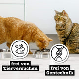 Våt kattmat Catz Finefood Purrrr med monoprotein och lax nr. 105, för katter med känslig matsmältning, 16 x 80 g