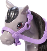 Barbie Chelsea och ponnydocka och ponnyer - Rid under leken för att sitta säkert på hästen, rosa sadel och stavar, inkluderar hjälm och söt rutig klänning, från 3 år och uppåt, HTK29 Naty Shop Dolls