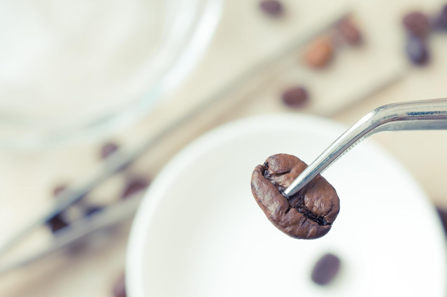 NIK CAFE' – Classico-blandning – rostade kaffebönor. Hans excellens, den robuste. 100% robust