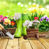 Relaxdays Planter Skottkärra, Set med 2, Trädgårdsdekoration, H x B x D: 12,5 x 26 x 12 cm, Blomstervagn för plantering, Trä, Naturlig