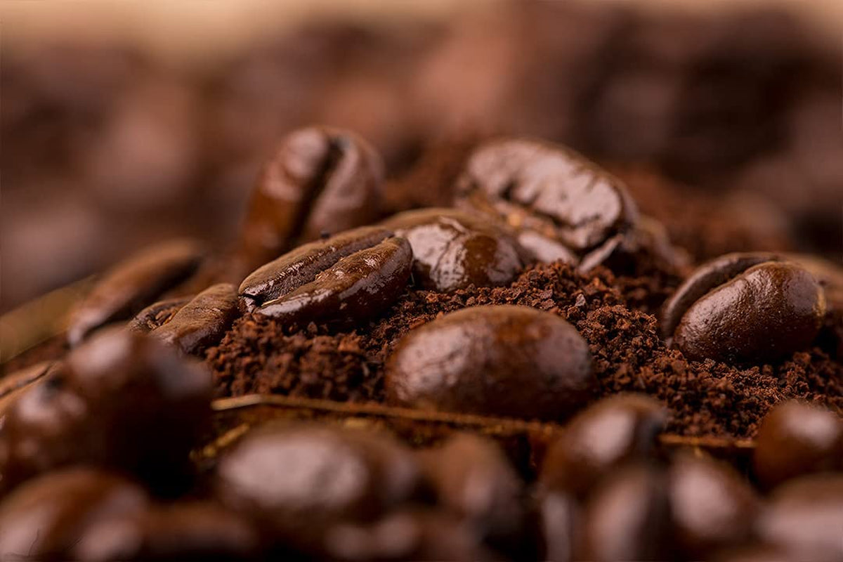 Caffè Barbera - Kaffekit med 3 blandningar - 1870