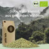 BIO Yerba Mate Tea 1 kg ● Original ● Moget ● Orostad ● Lufttorkad ● Rökfri ● Plastfri ● Fair Trade ● Mate-teer från mateblad, matebitar och matebladspulver ● DE-ÖKO-006