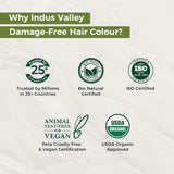 Indus Valley Natural Damage Free Gel Hårfärg | Ammoniakfri, vegan och grymhetsfri | Upp till 100 % grå täckning, långvariga resultat | Ljus kastanj 5.0 (20 gram + 200 ml) Naty Shop hårfärgning