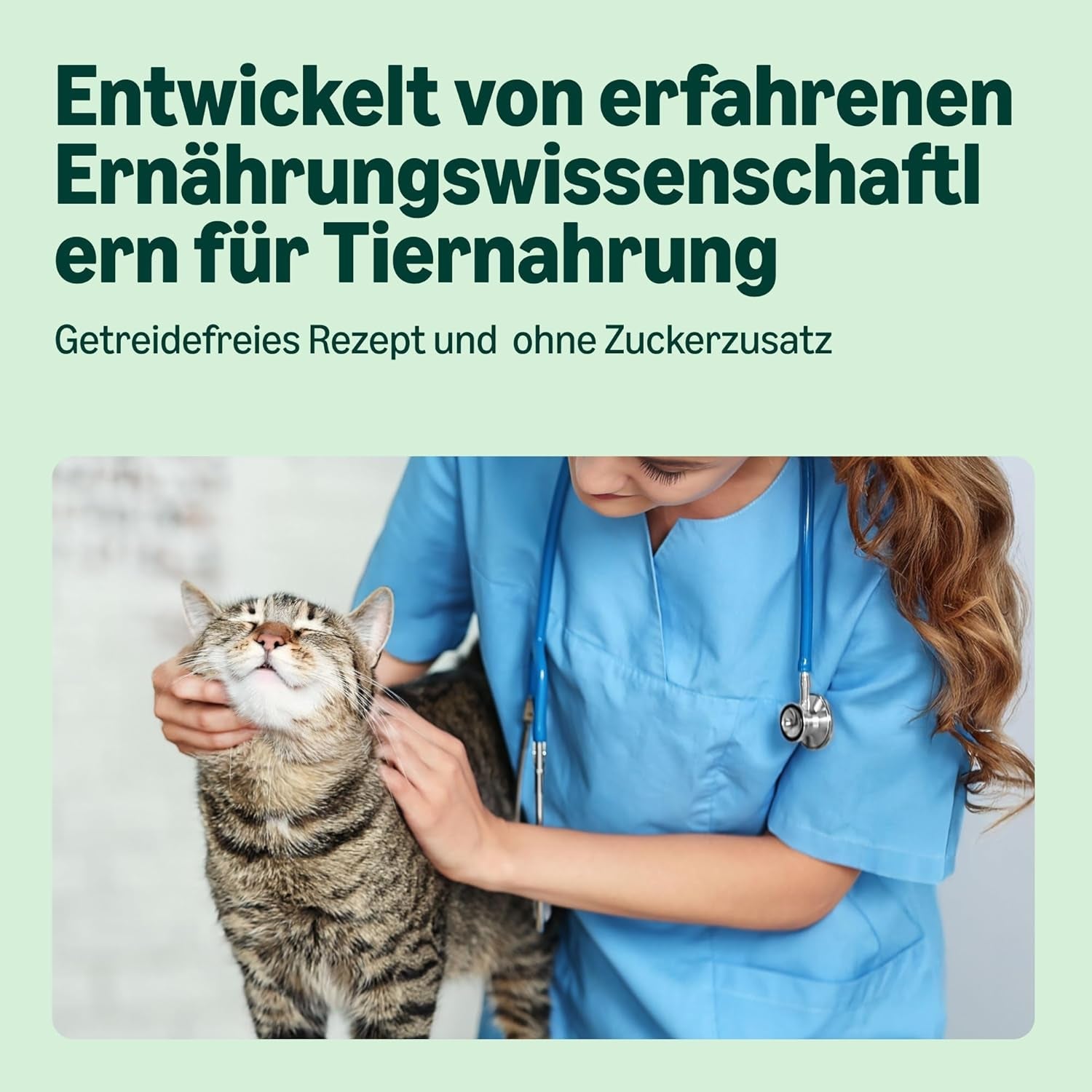 Amazon spannmålsfri våt kattmat Konserverade kycklingbitar i gelé 12 x 405 g