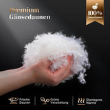 135X200 All Season Täcke 100% Bomull Gåsdun Fjäder Täcke Tjockfylld Fjäder Täcke No Live Plysch Extra Fluffig Övergångs Täcke 3D Baffel Box Enkelsäng Vita täcken & täcken Naty Shop