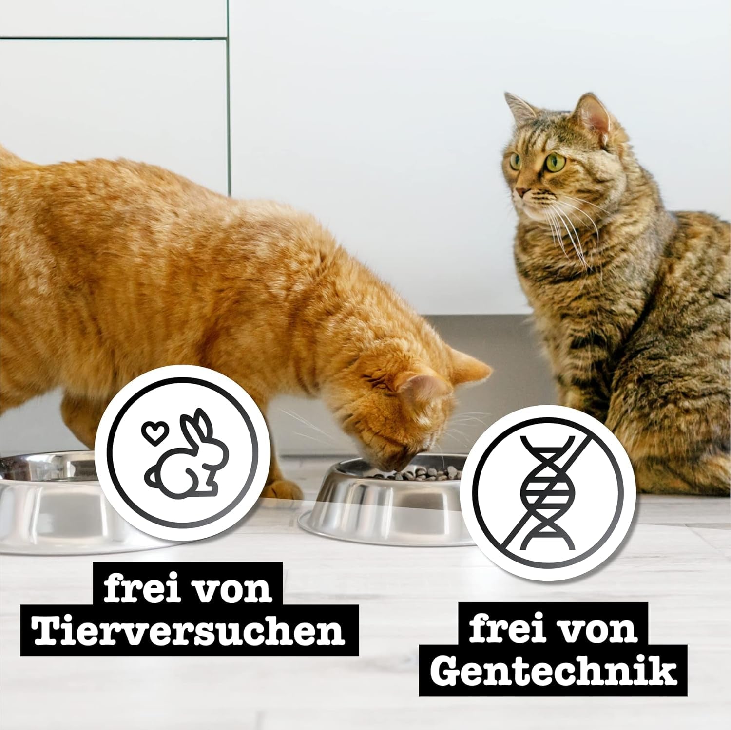 Catz Finefood Purrrr Collection I - Monoprotein Wet Cat Food - Spannmålsfri, Sockerfri, Hypoallergen - Hög kötthalt - Multipack våt kattmat - i påsar, 85g (12 förpackningar)