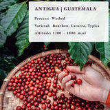 Rostade efter beställning ~ färskaste specialkaffebönor | 80 CUP Rosteri | Guatemala Antigua, Single Origin(1kg) Spezialitäten Kaffeebohnen, Frisch Geröstet