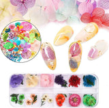 Kalolary torkade blommor för naglar Fjärils paljetter Nagellack Folie Nagelklistermärken Pincett Nagelstenar Nagel Strass Penna för 3D Nageldesign Gör-det-själv-dekorationer