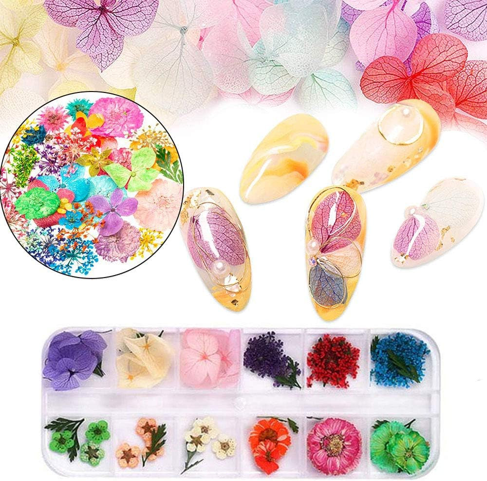 Kalolary torkade blommor för naglar Fjärils paljetter Nagellack Folie Nagelklistermärken Pincett Nagelstenar Nagel Strass Penna för 3D Nageldesign Gör-det-själv-dekorationer