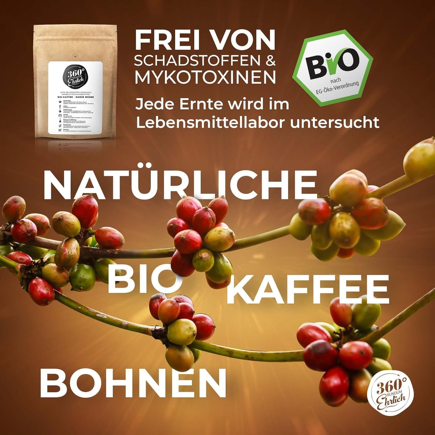 Premium Bio Kaffeebohnen 1000g, 100% Honduras Hochland Arabica Kaffeebohnen Bio - Köstlich, mild, säurearm - Bio Kaffee ganze Bohnen - Ideal as Kaffeebohnen Vollaautomat - 360° Rundum Ehrlich