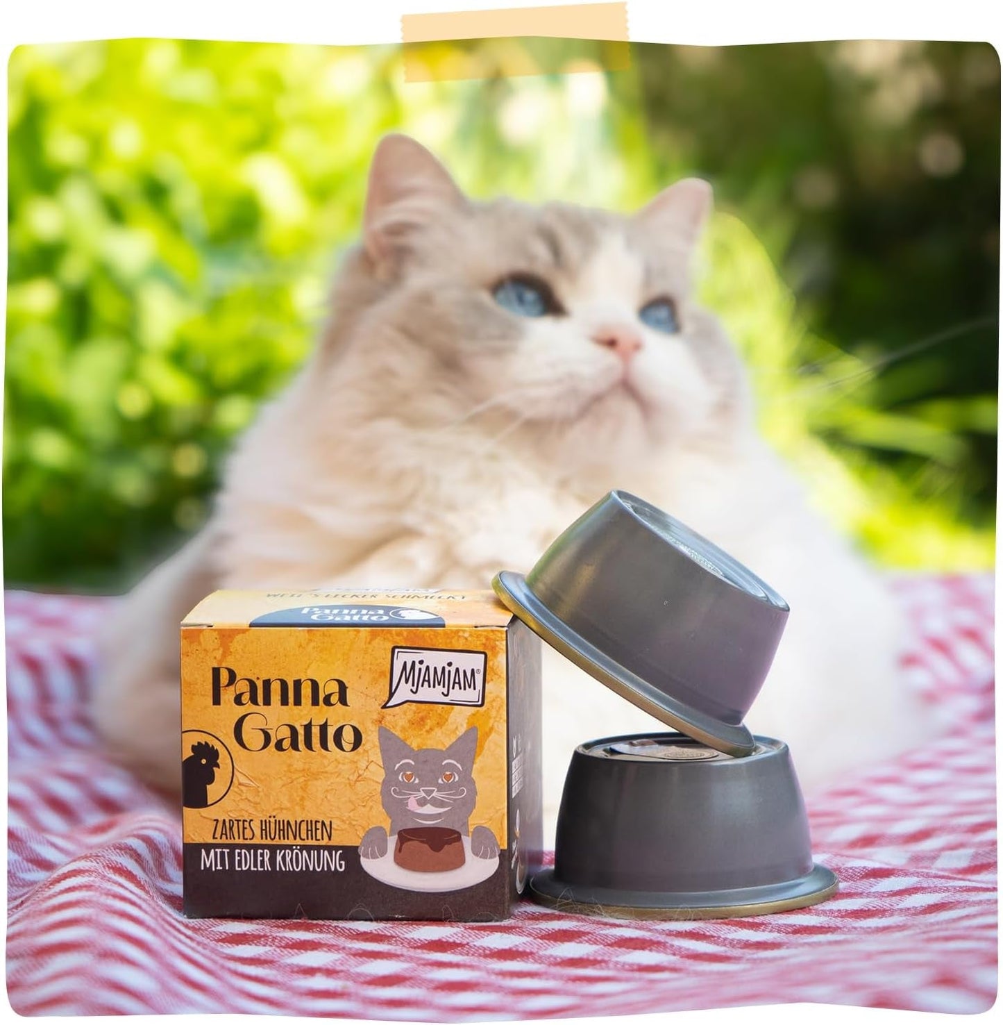 MjAMjAM - Premium våtfoder för katter - Panna Gatto - mör kyckling med en ädel topping, förpackning om 12 (2x80g), spannmålsfri